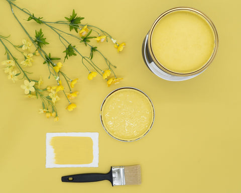 Secret Garden - Paint of Walinoon