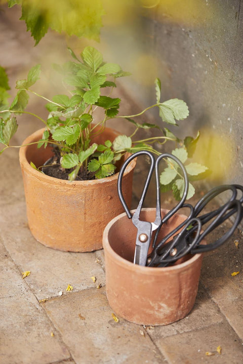 Ib Laursen große handgeschmiedete Schere - Weingärtners Genusshandwerk