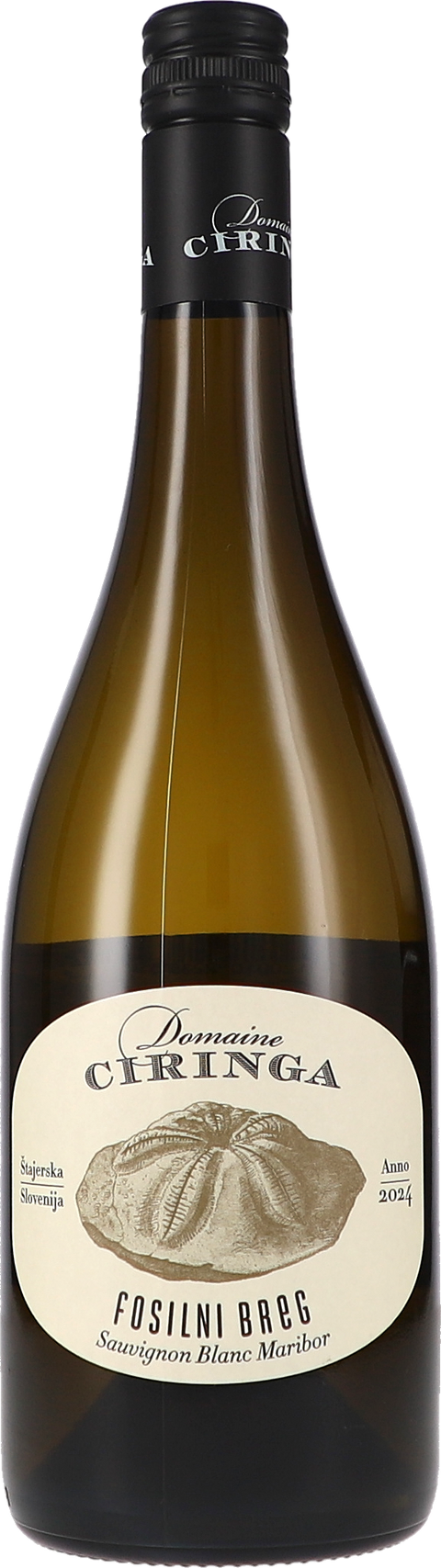 Weinflasche Tement Ciringa, Fosilni Breg BIO, Weißwein aus der Südsteiermark