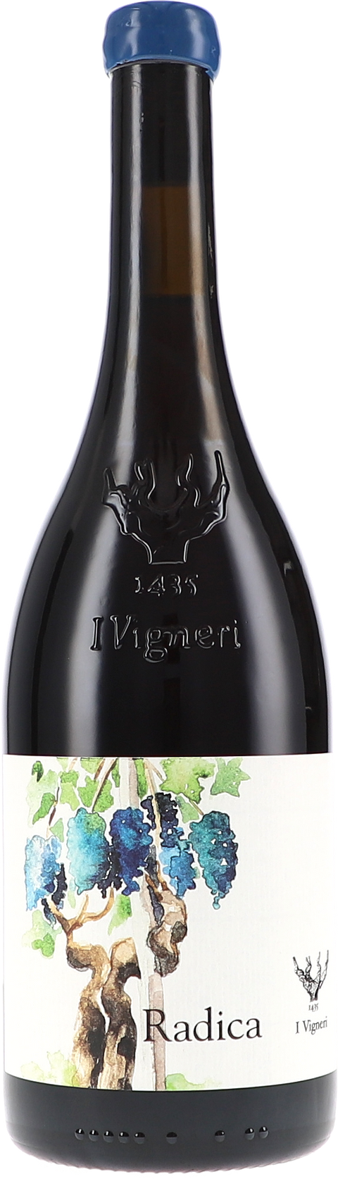 I Vigneri di Salvo Foti Radica Rosso 2025