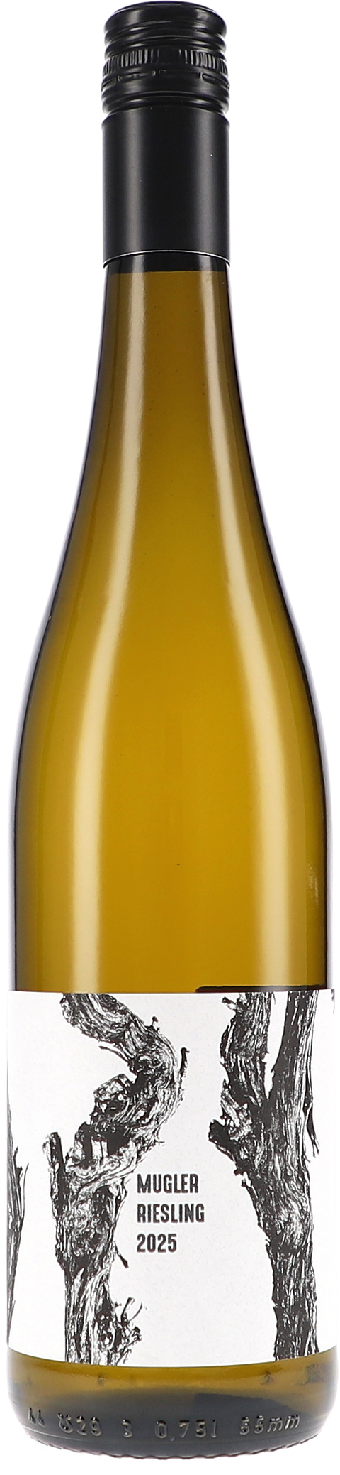 Weinflasche M. Schädler - Steffen Mugler Riesling trocken BIO, Weißwein aus der Pfalz