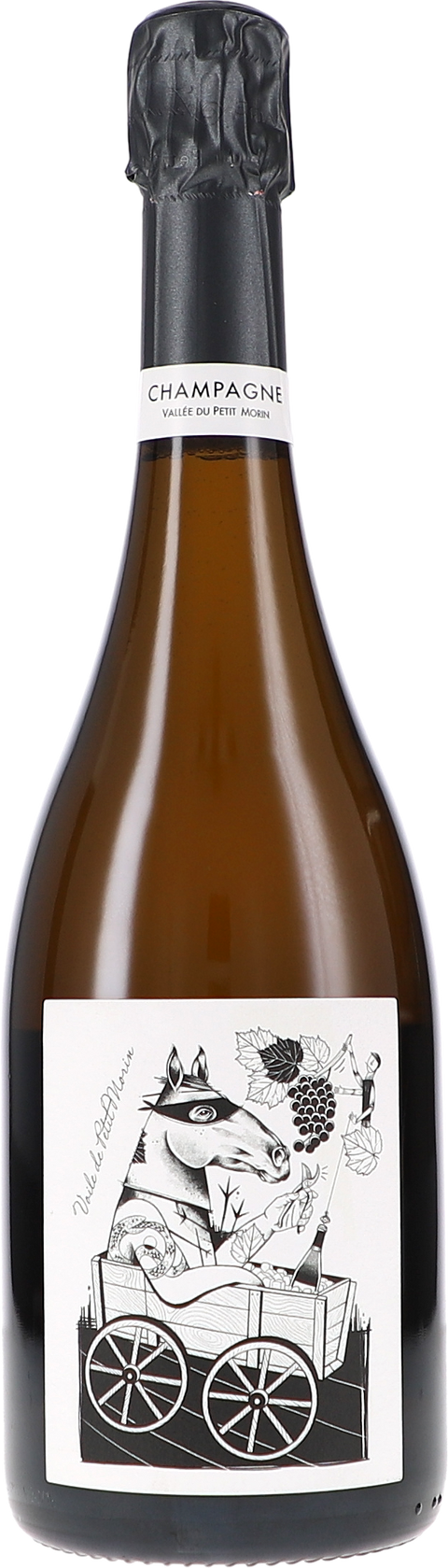 Jeaunaux-Robin Voile de Petit Morin, Brut Nature L19/20 BIO