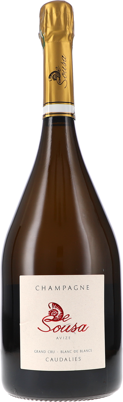 Weinflasche De Sousa et Fils Cuvée des Caudalies Blanc de Blancs Grand Cru Extra Brut BIO, Schaumwein aus der Champagne