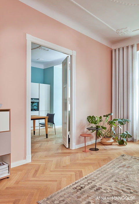 Apricot 173 - Weingärtners Genusshandwerk