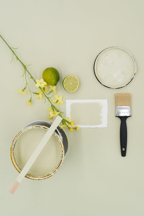 lime | Paint of Walinoon Wandfarbe - Weingärtners Genusshandwerk