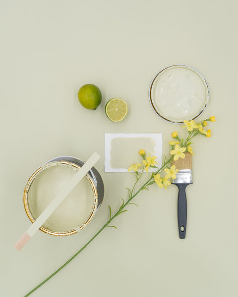 lime | Paint of Walinoon Wandfarbe - Weingärtners Genusshandwerk