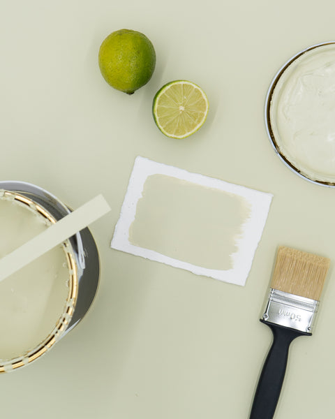 lime | Paint of Walinoon Wandfarbe - Weingärtners Genusshandwerk