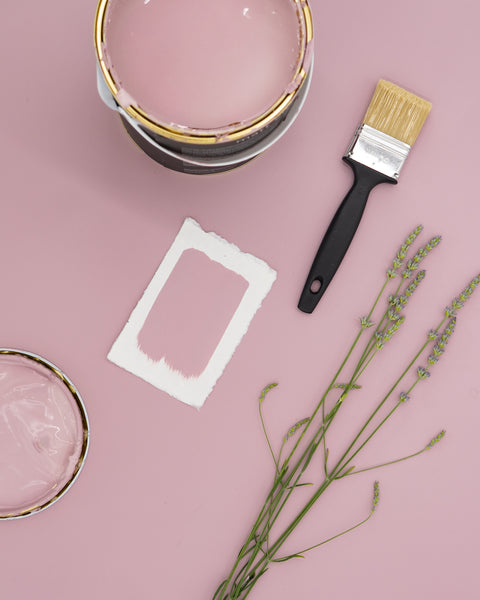 soft lavender | Paint of Walinoon Wandfarbe - Weingärtners Genusshandwerk