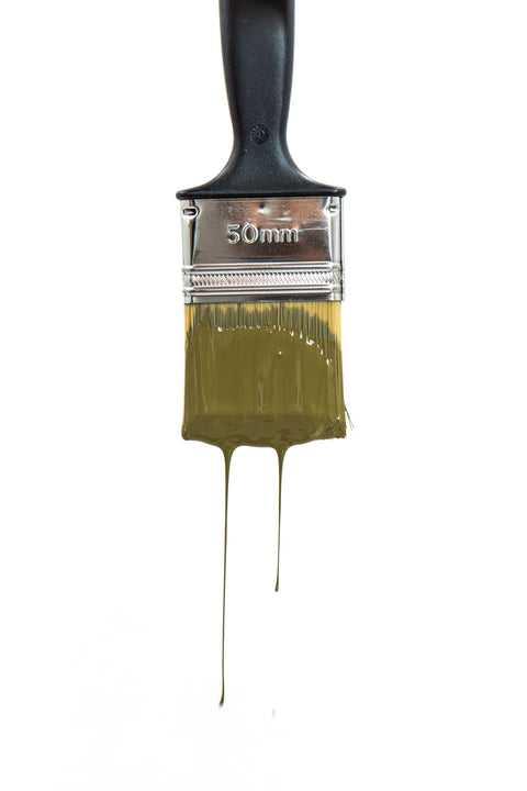 moss | Paint of Walinoon Wandfarbe - Weingärtners Genusshandwerk