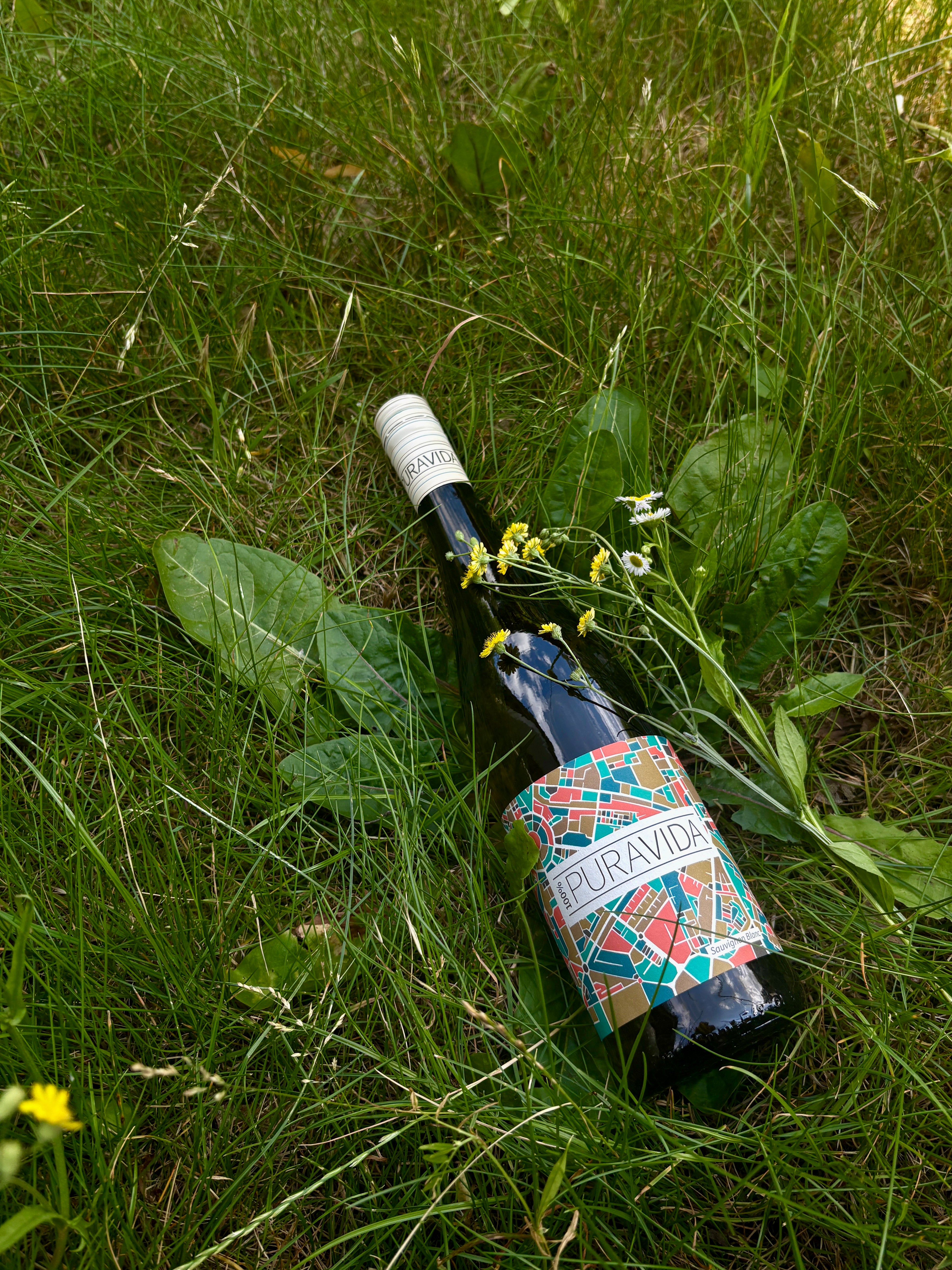Pura Vida Sauvignon Blanc 2024 BIO - Weingärtners Genusshandwerk