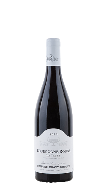 Weinflasche Chavy-Chouet Bourgogne Rouge „La Taupe“, Rotwein aus Burgund