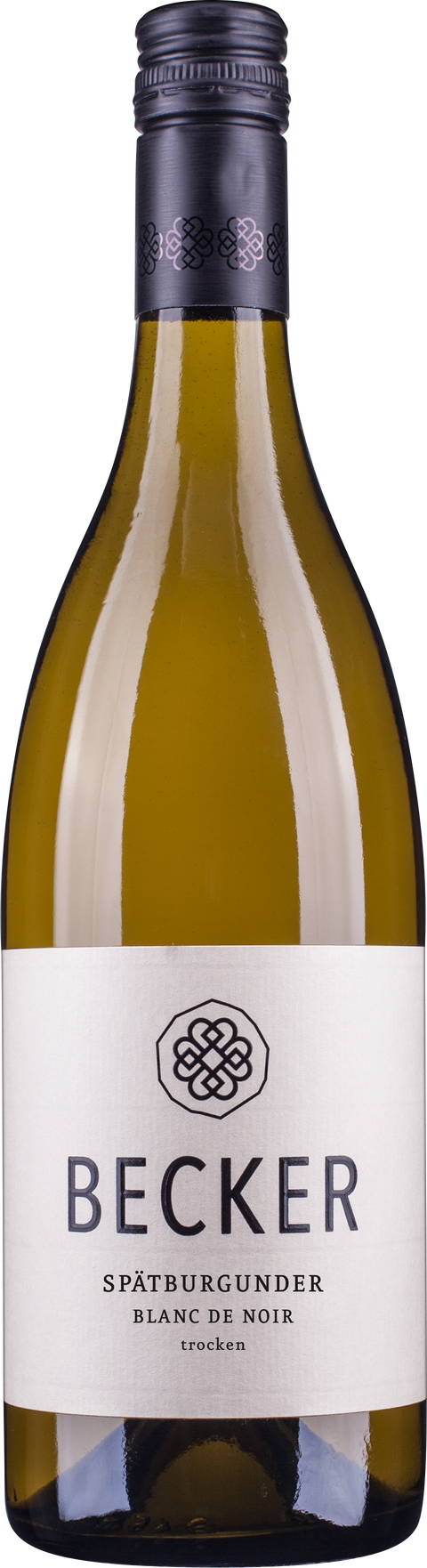 Becker Spätburgunder Blanc de Noir trockener Weißwein 2024 in einem Weinglas auf einem Tisch.