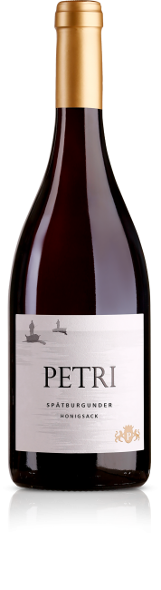 Petri Spätburgunder Herxheimer Honigsack trockener Rotwein 2022 in Weinglas, dunkle Farbe, elegant und vollmundig.