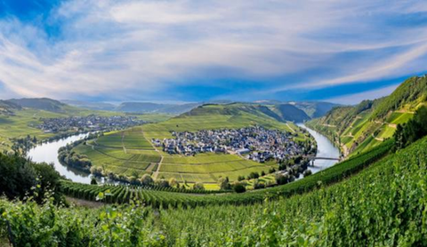 Mosel: Das Herz des deutschen Weinbaus