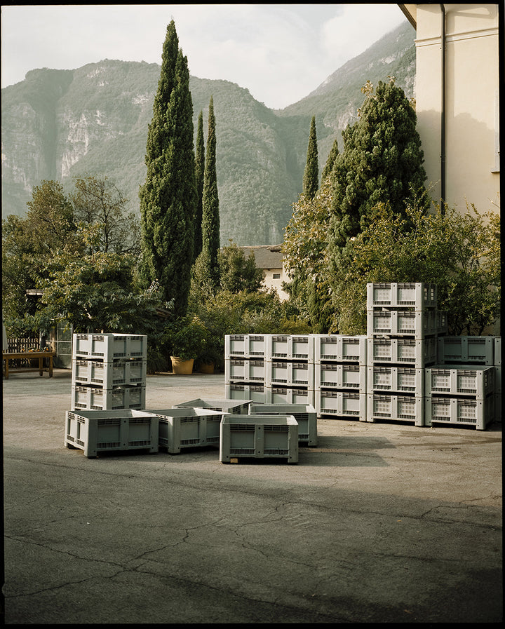 Foradori, Bild 5