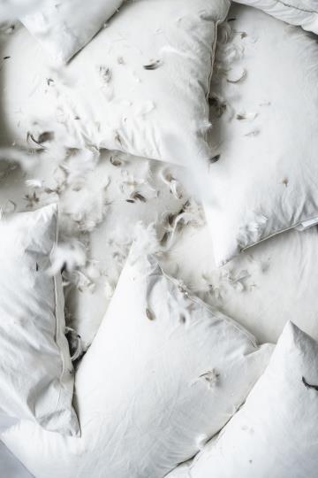 Ib Laursen Kissen-Inlett 50 × 50 cm – 800g Entenfedern & Daunen