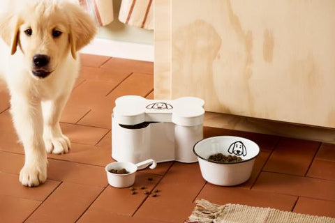 Ib Laursen Fressnapf für Hunde Emaille (H: 8 Ø: 17cm) - Weingärtners Genusshandwerk