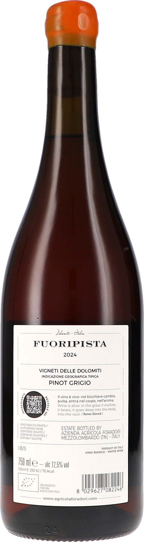 Foradori Fuoripista Pinot Grigio Vigneti delle Dolomiti IGT 2024 BIO Rücketikett