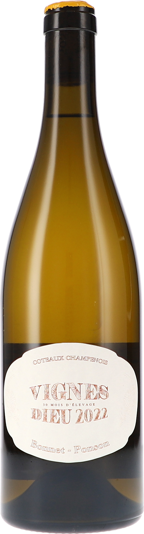 Bonnet-Ponson Vignes Dieu Blanc, Coteaux Champenois 2022 BIO