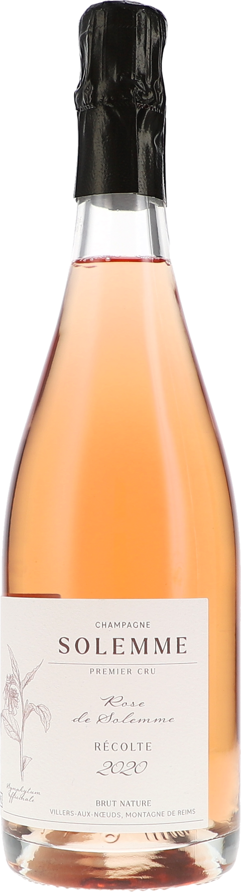 Solemme Rose de Solemme, 1er Cru Brut Nature, Millésimé 2020 BIO