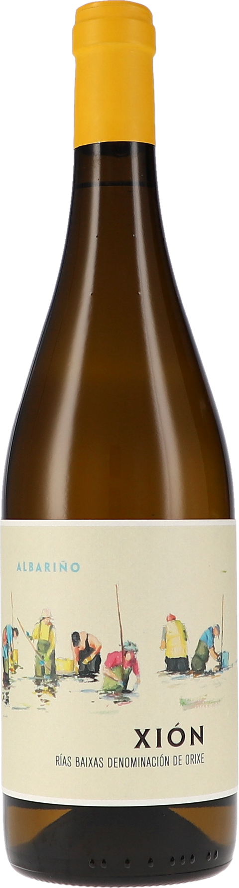 Attis Bodegas y Vinedos Xión 2024