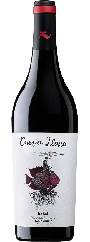 Bodega Parajes del Valle Cueva Llana Bobal Tinto 2021 BIO - wundervino