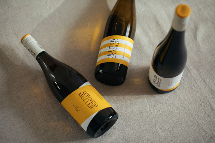 Weingut Müller-Oswald, Bild 7