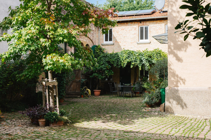 Weingut Müller-Oswald, Bild 4