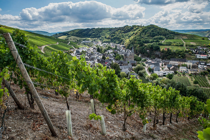Weingut Loersch, Bild 4
