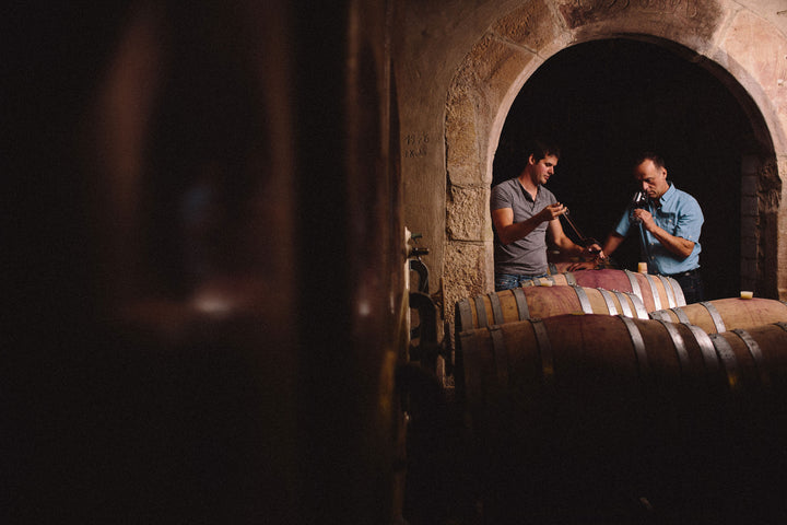 Weingut Becker, Bild 5
