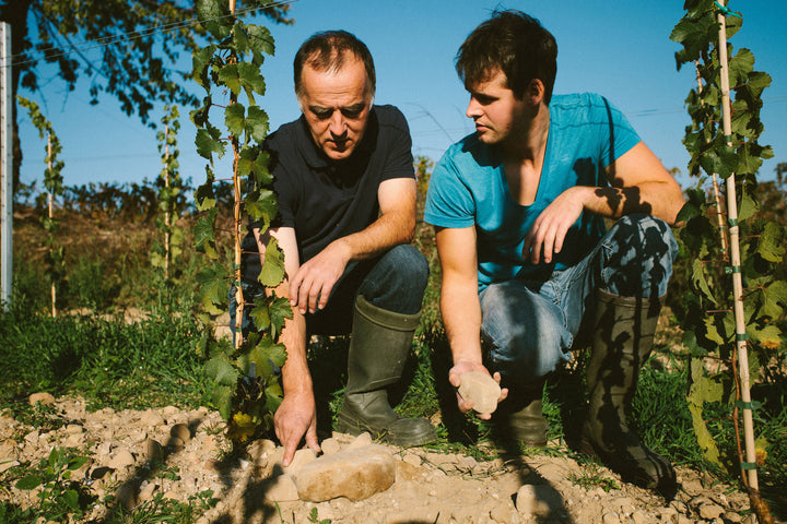 Weingut Becker, Bild 8