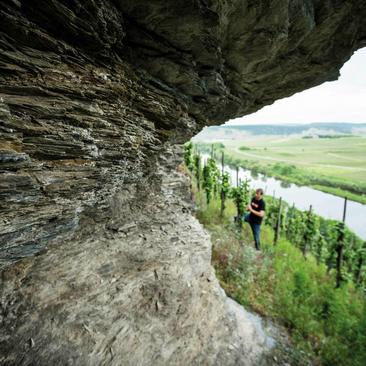 Weingut Hermann Ludes, Bild 2