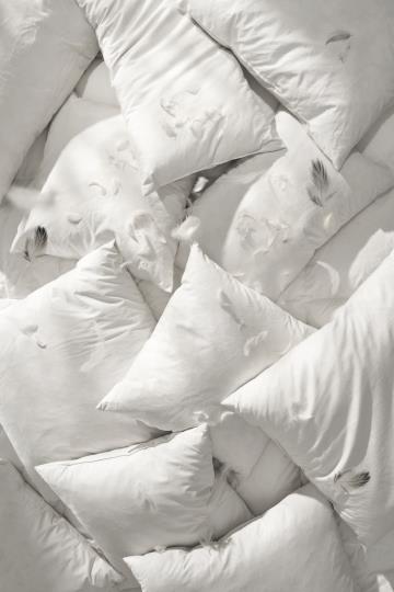 Ib Laursen Kissen-Inlett 50 × 50 cm – 800g Entenfedern & Daunen - Weingärtners Genusshandwerk