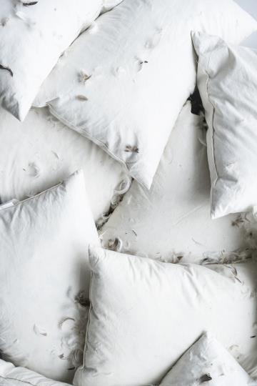 Ib Laursen Kissen-Inlett 50 × 50 cm – 800g Entenfedern & Daunen - Weingärtners Genusshandwerk