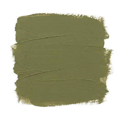 Moss | Paint of Walinoon Wandfarbe – Forest Walk