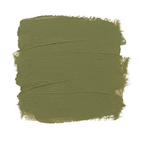 Moss | Paint of Walinoon Wandfarbe – Forest Walk