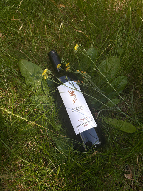 Ômina Romana Hermes Diactoros II Bianco 2022 bottle with elegant label and white wine in a glass setting.