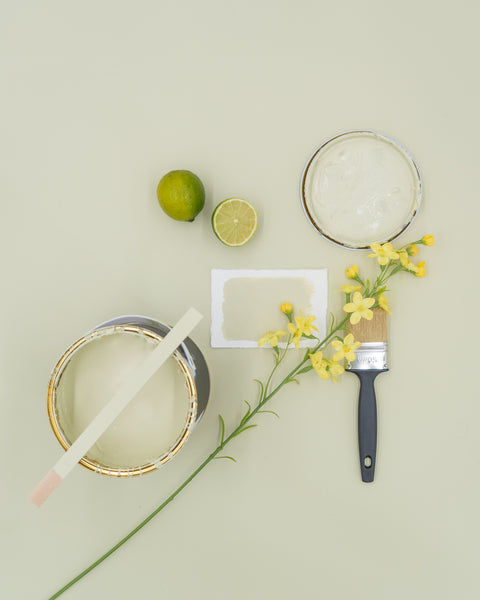 Lime Kreidefarbe von Paint of Walinoon auf einem Möbelstück, zeigt den natürlichen Farbton und die cremige Textur der Wandfarbe.