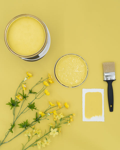 Weiße Kreidefarbe von Paint of Walinoon, Buttercup, auf Wandoberfläche mit Pinsel aufgetragen, vielseitige Wandfarbe für kreative Gestaltung.