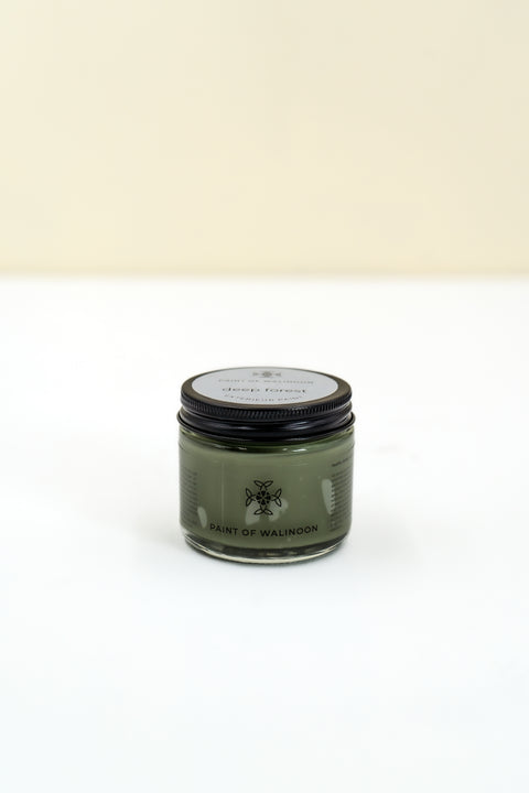 Kreidefarbe von Paint of Walinoon in Deep Forest, außen aufgetragen, zeigt die grüne, matte Oberfläche der Wandfarbe.