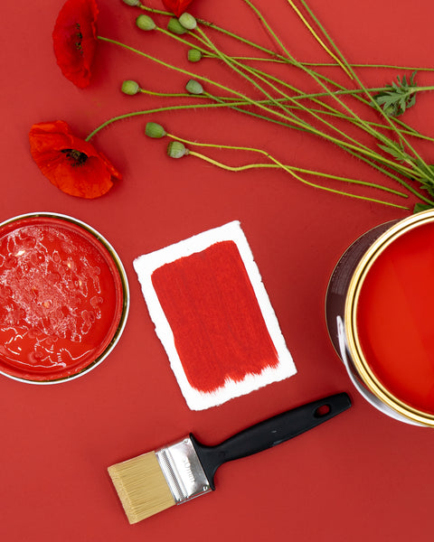 Poppy Kreidefarbe von Paint of Walinoon, gebrauchsfertig, für Möbel und Dekor, cremige Textur, in einem offenen Farbtopf.