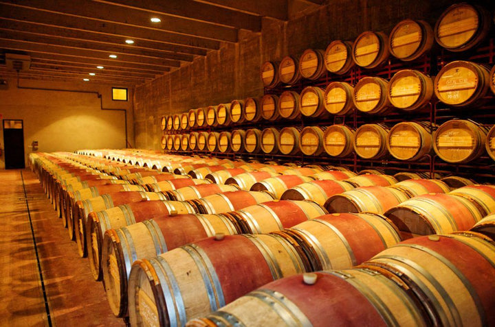 Celler Mas Llunes, Bild 4