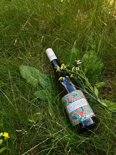 Bio Sauvignon Blanc Weißwein von Weingut Müller-Oswald, hellgelbe Farbe, elegantes Glas mit fruchtigem Duft und frischer Note