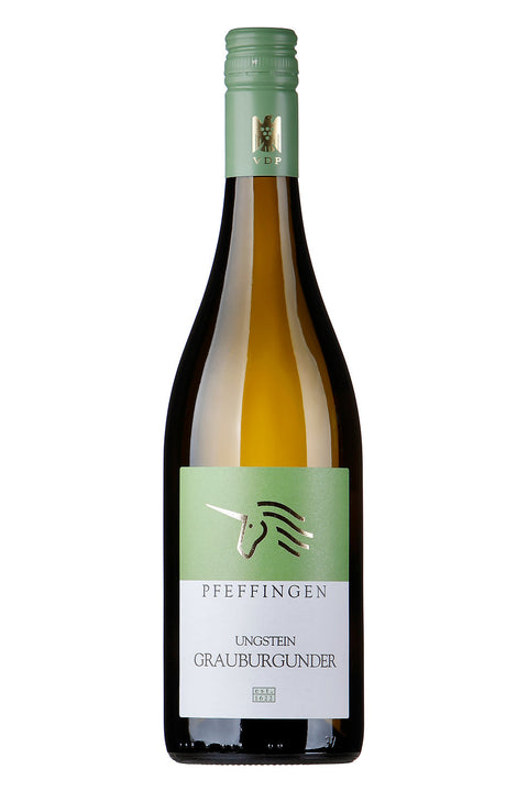 Weißwein Pfeffingen Ungstein Grauburgunder trocken 2024 im Weinglas, Flasche im Hintergrund, edle Weinpräsentation.