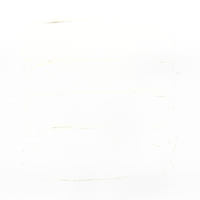 White Lily | Paint of Walinoon Wandfarbe – Shades of Water